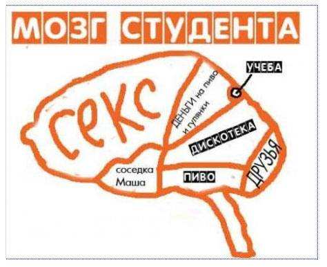 День студента