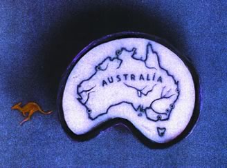 australia (328x244, 19Kb)