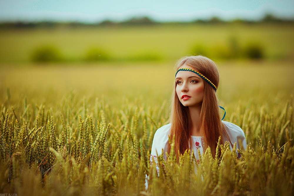 Дівчина в пшеничному полі
