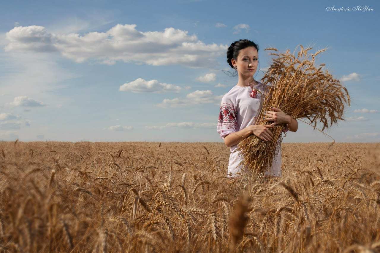 Пшеничное поле человек