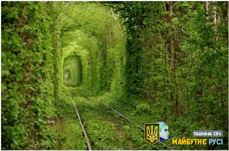 Тунель кохання